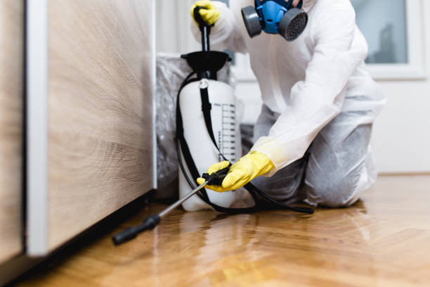 Best Emergency Pest Control  in Little Rock, AR