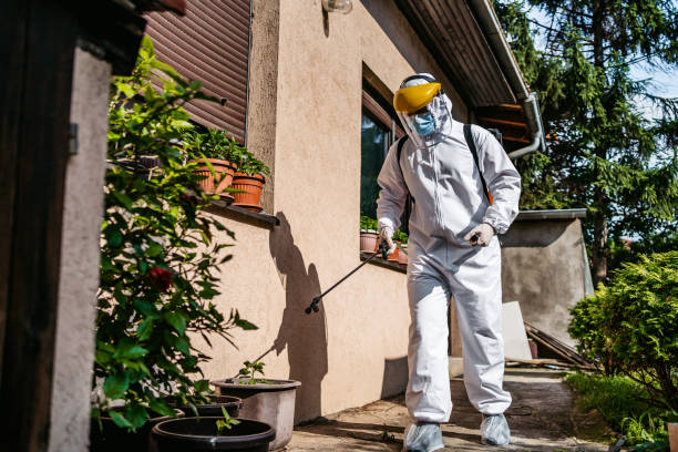Best Emergency Pest Control  in Little Rock, AR