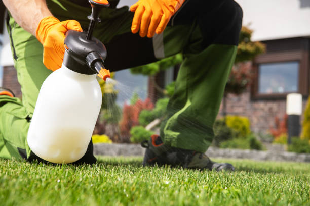 Best Residential Pest Control  in Little Rock, AR