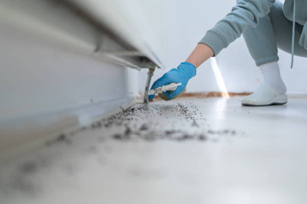 Best Best Pest Control Companies  in Little Rock, AR